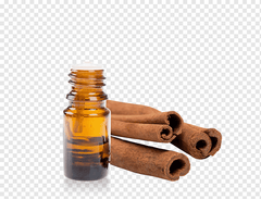 Cinnamon Bark Oil