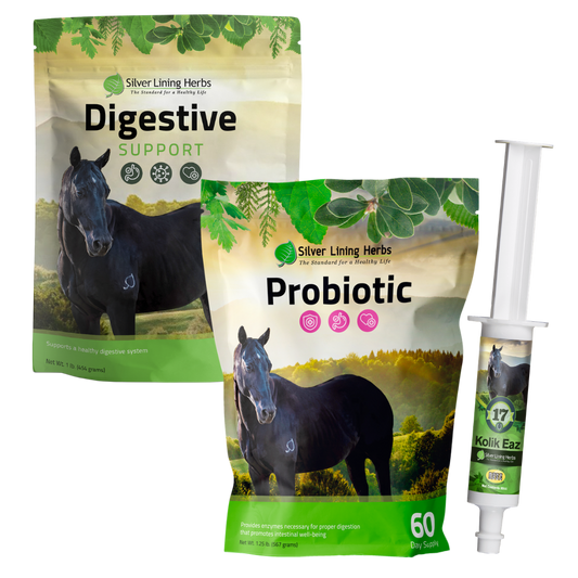 Colic Bundle for Horses - Silver Lining Herbs