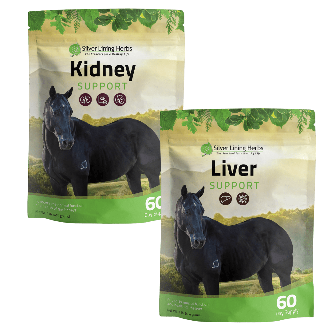 Detox Bundle for Horses - Silver Lining Herbs