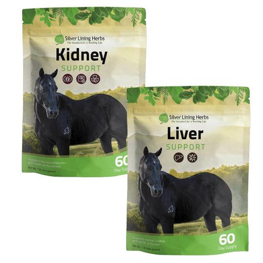 Detox Bundle for Horses - Silver Lining Herbs
