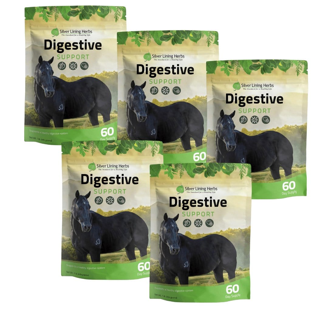 Digestive Support for Horses - Silver Lining Herbs