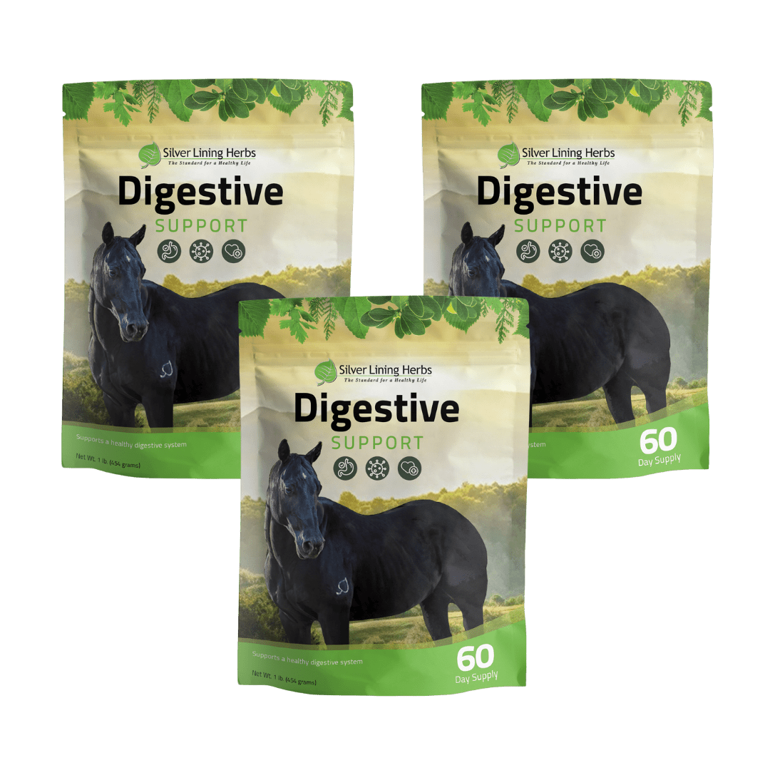 Digestive Support for Horses - Silver Lining Herbs