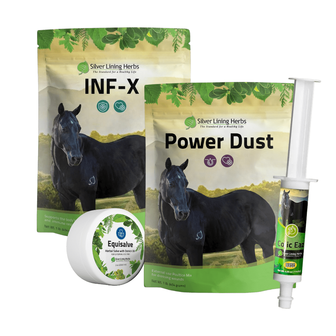 Emergency Kit Bundle for Horses - Silver Lining Herbs