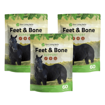 Feet & Bone Support for Horses - Silver Lining Herbs