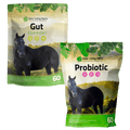 Gut Health Bundle for Horses - Silver Lining Herbs