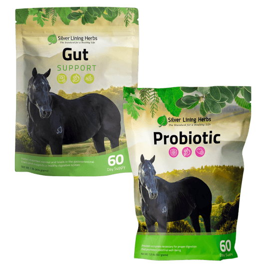 Gut Health Bundle for Horses - Silver Lining Herbs