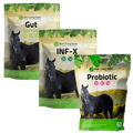 Gut Repair Bundle for Horses - Silver Lining Herbs