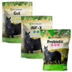 Gut Repair Bundle for Horses - Silver Lining Herbs