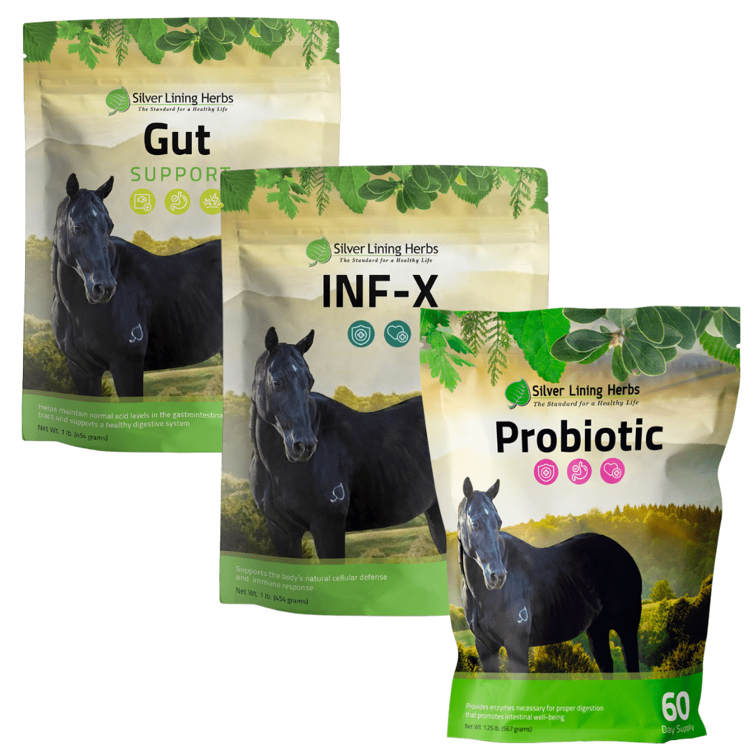 Gut Repair Bundle for Horses - Silver Lining Herbs