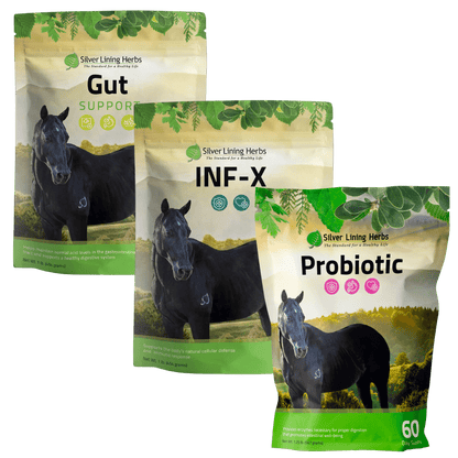 Gut Repair Bundle for Horses - Silver Lining Herbs