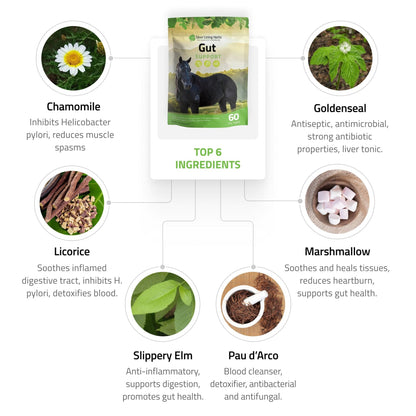 Gut Support for Horses - Silver Lining Herbs