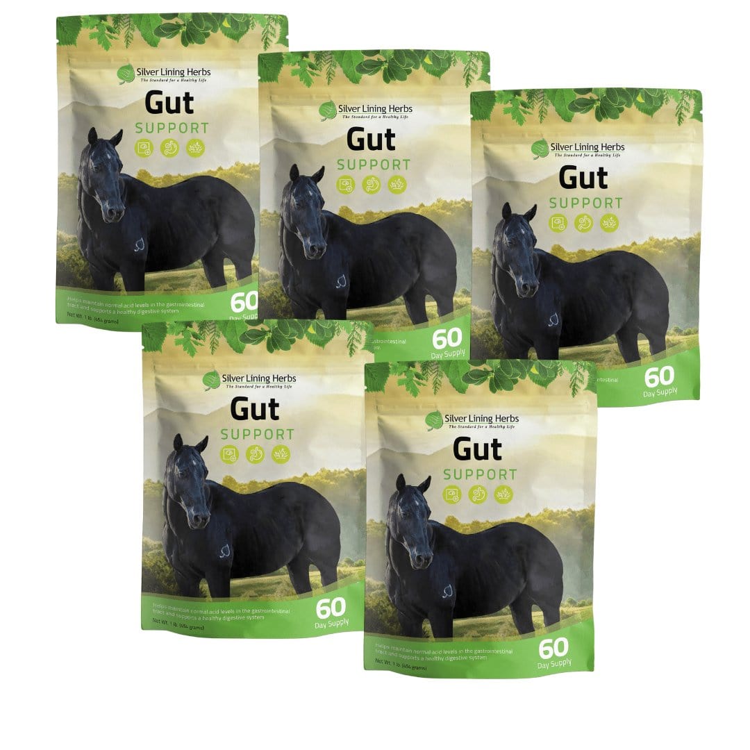Gut Support for Horses - Silver Lining Herbs