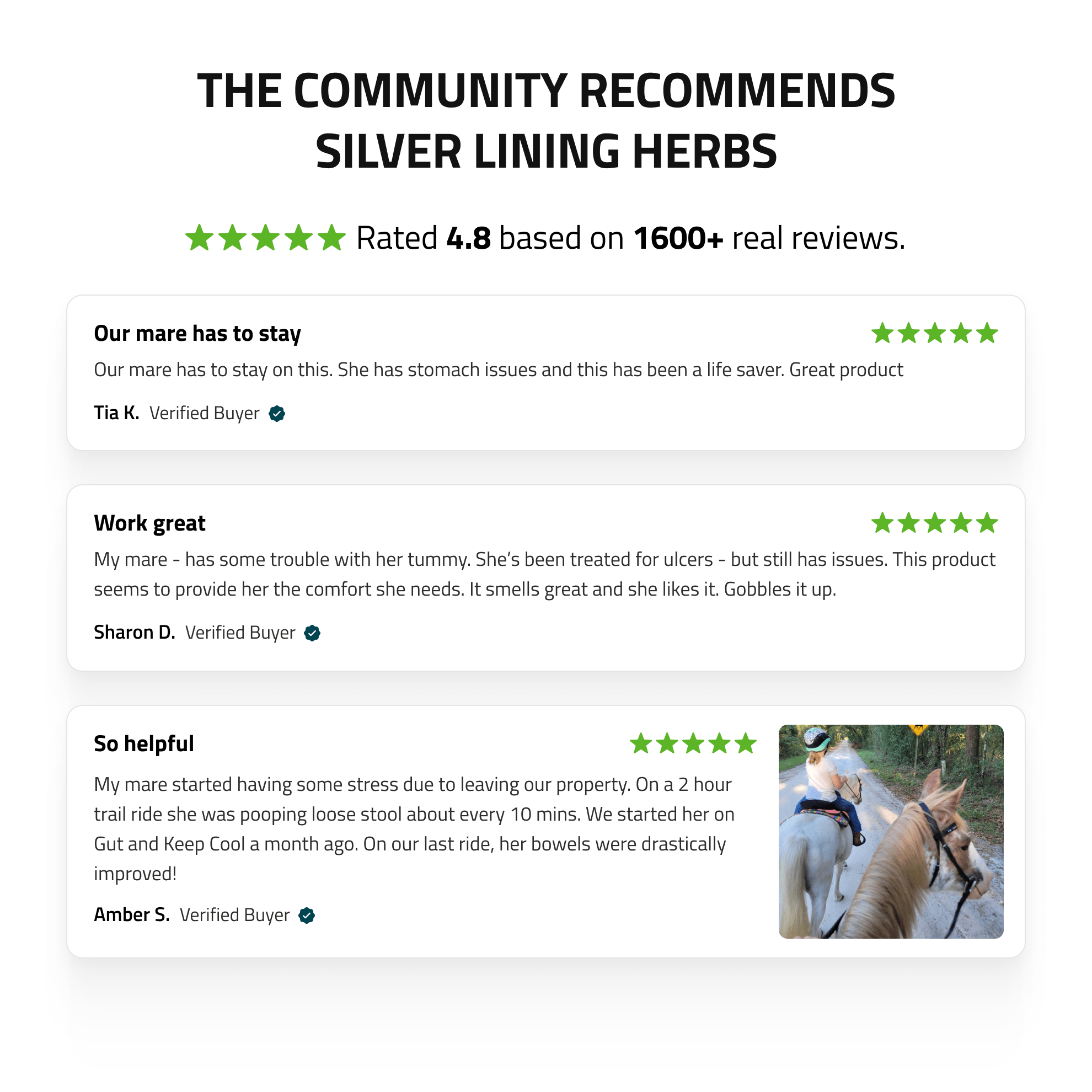 Gut Support for Horses - Silver Lining Herbs