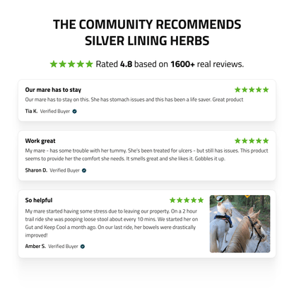 Gut Support for Horses - Silver Lining Herbs