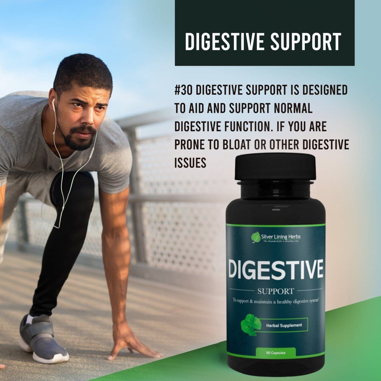 Herbal Digestive Support - Silver Lining Herbs