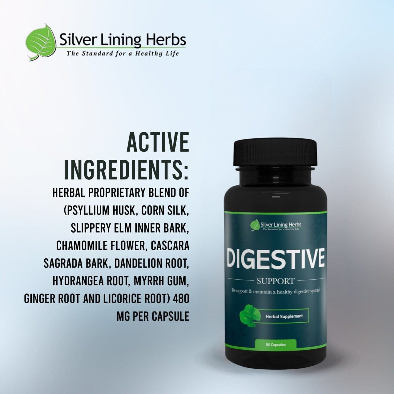 Herbal Digestive Support - Silver Lining Herbs