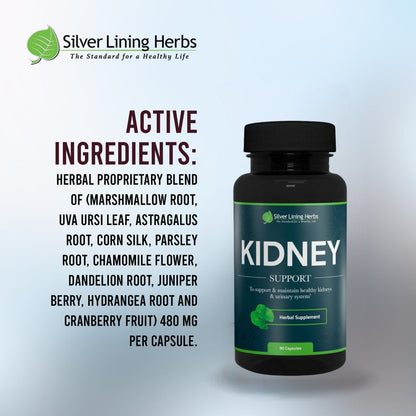 Herbal Kidney Support - Silver Lining Herbs