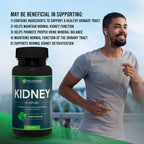 Herbal Kidney Support - Silver Lining Herbs