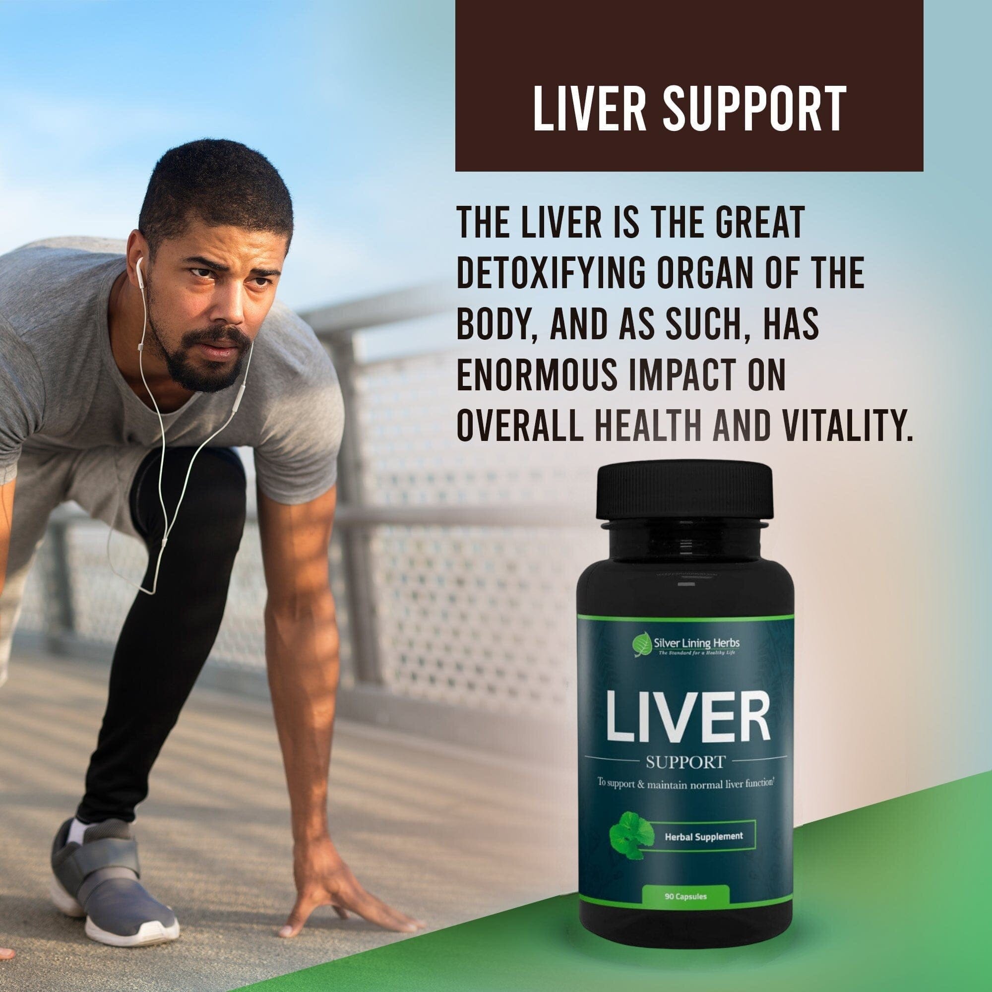 Herbal Liver Support - Silver Lining Herbs