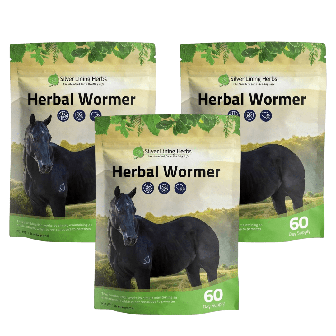 Herbal Wormer for Horses - Silver Lining Herbs