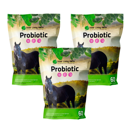 Horse Probiotics - Silver Lining Herbs