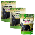 Immune Defense Bundle for Horse - Silver Lining Herbs