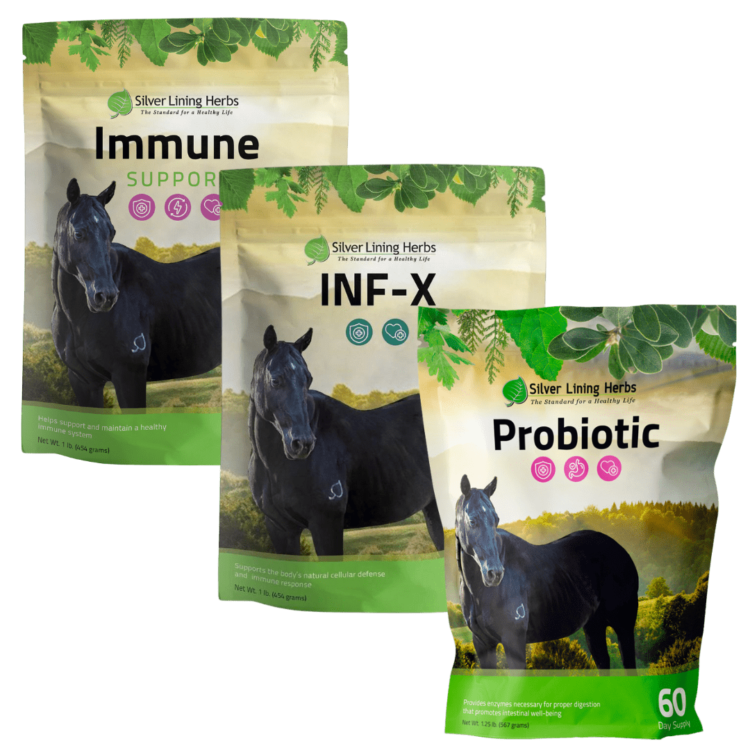Immune Defense Bundle for Horse - Silver Lining Herbs