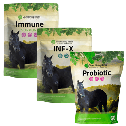Immune Defense Bundle for Horse - Silver Lining Herbs