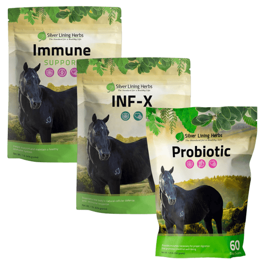 Immune Defense Bundle for Horse - Silver Lining Herbs