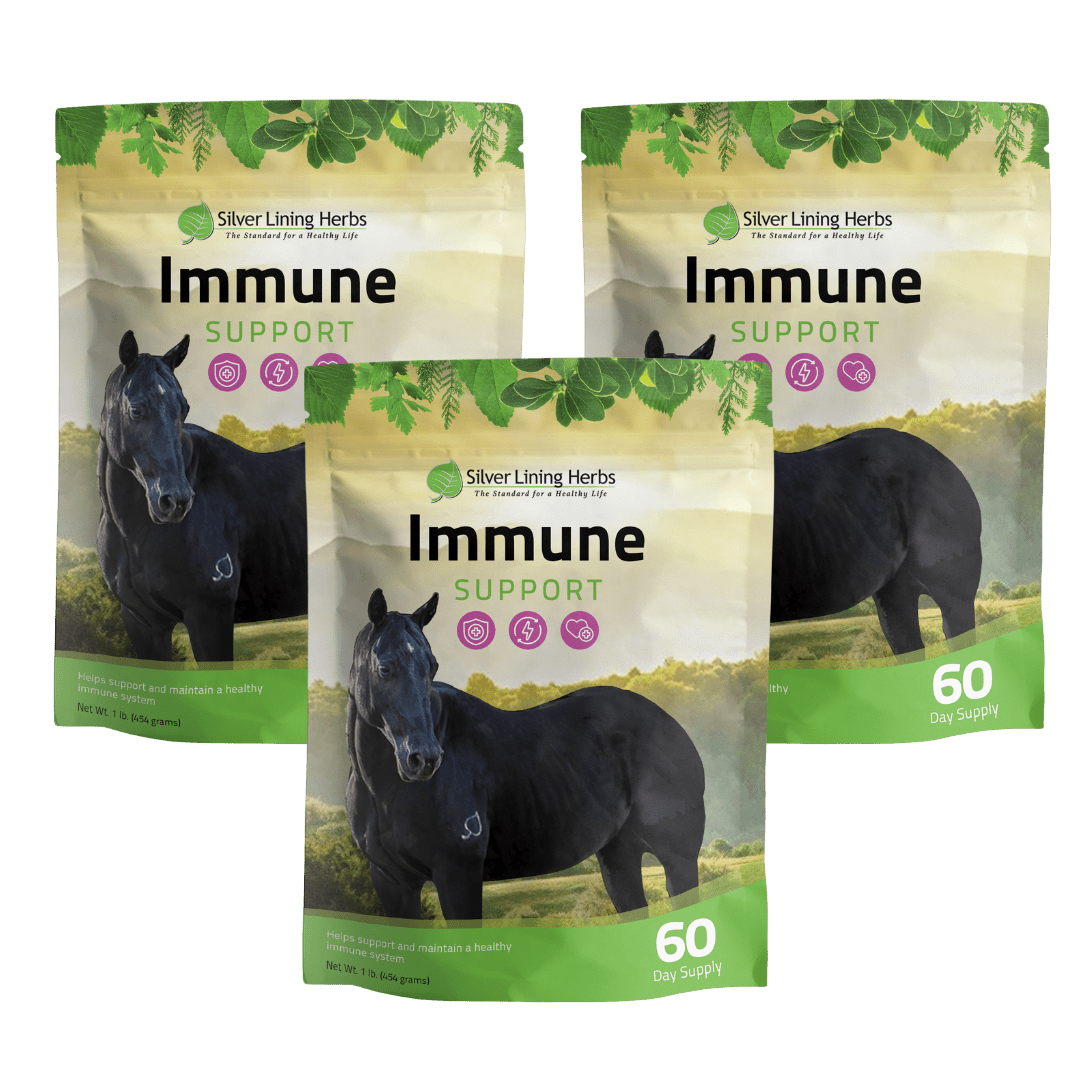 Immune Support for Horses - Silver Lining Herbs