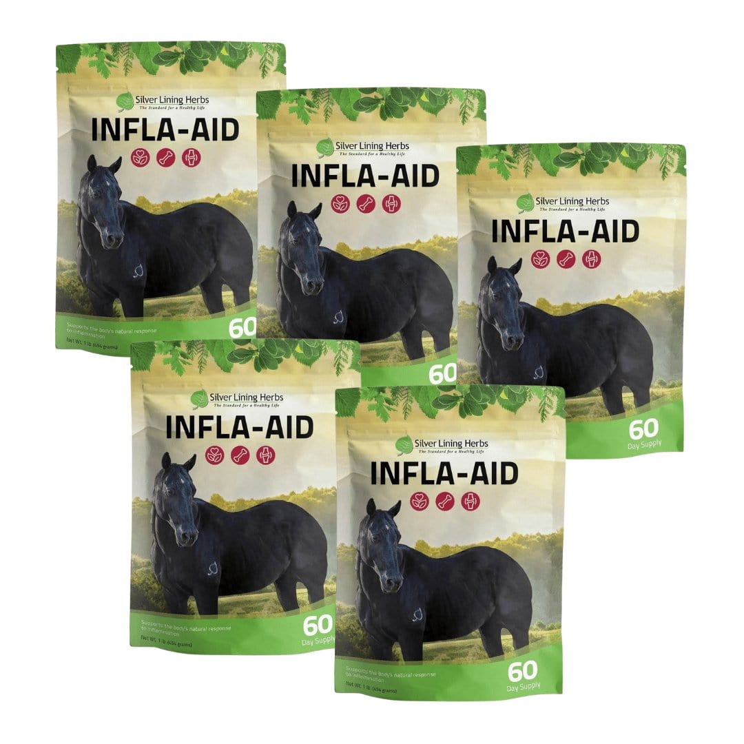 Infla-aid for Horses - Silver Lining Herbs