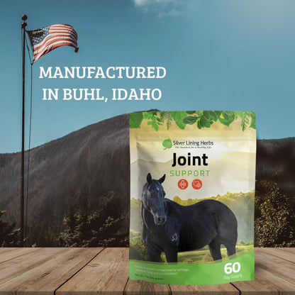 Joint Support for Horses - Silver Lining Herbs