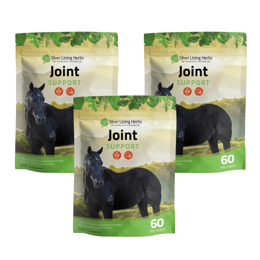 Joint Support for Horses - Silver Lining Herbs