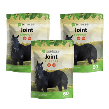 Joint Support for Horses - Silver Lining Herbs