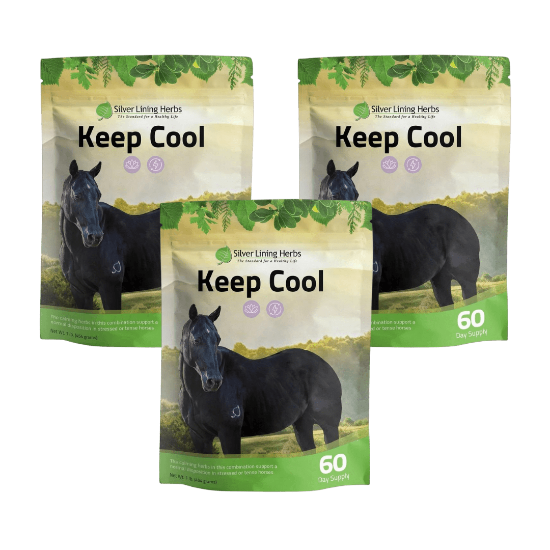 Keep Cool for Horses - Silver Lining Herbs