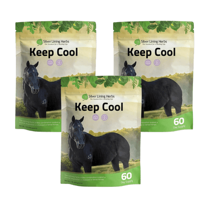 Keep Cool for Horses - Silver Lining Herbs