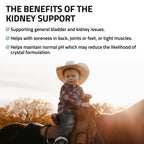Kidney Support for Horses - Silver Lining Herbs