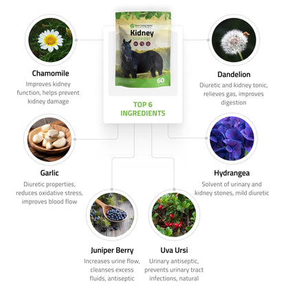 Kidney Support for Horses - Silver Lining Herbs