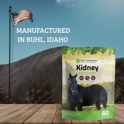 Kidney Support for Horses - Silver Lining Herbs