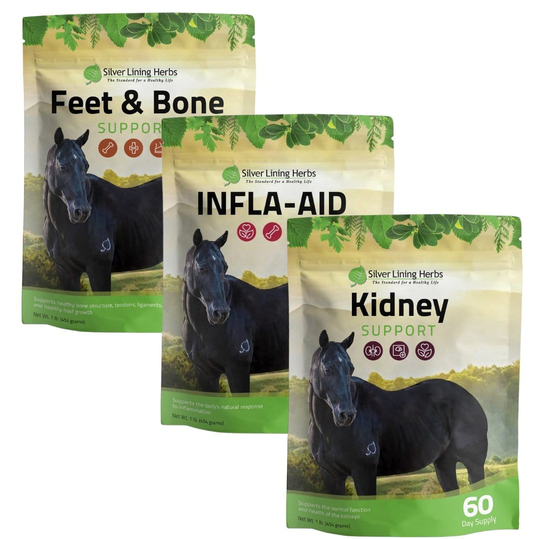 Lameness Bundle for Horses - Silver Lining Herbs