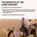 Liver Support for Horses - Silver Lining Herbs