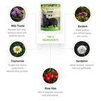 Liver Support for Horses - Silver Lining Herbs