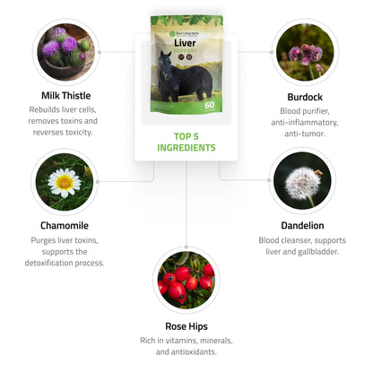 Liver Support for Horses - Silver Lining Herbs