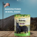 Liver Support for Horses - Silver Lining Herbs