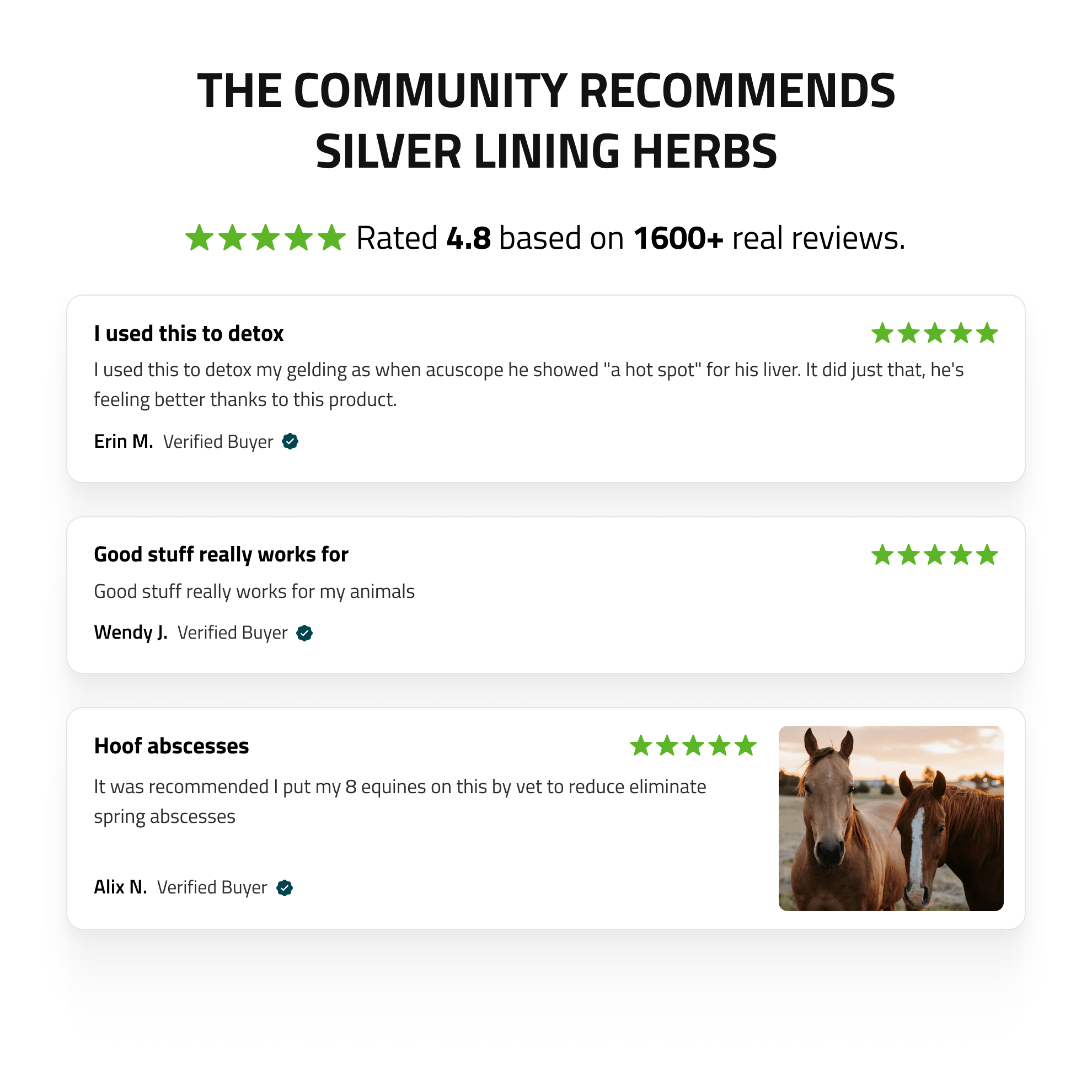Liver Support for Horses - Silver Lining Herbs
