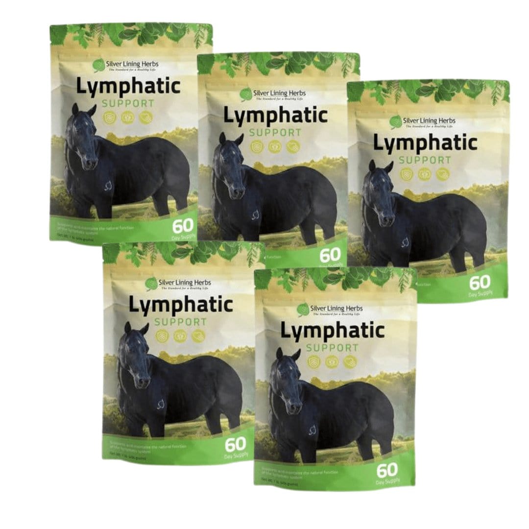 Lymphatic Support for Horses - Silver Lining Herbs