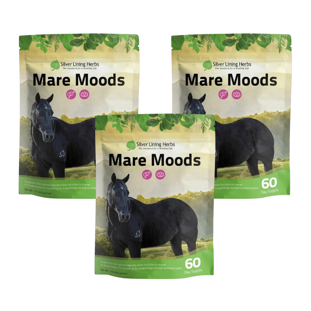 Mare Moods For Horses - Silver Lining Herbs