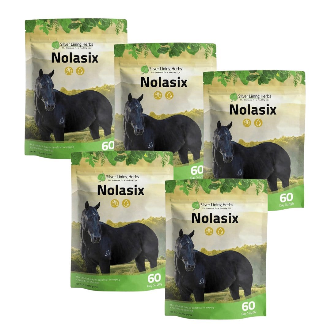 Nolasix for Horses - Silver Lining Herbs