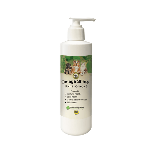 Omega Shine for Canines - Silver Lining Herbs