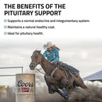Pituitary Support for Horses - Silver Lining Herbs